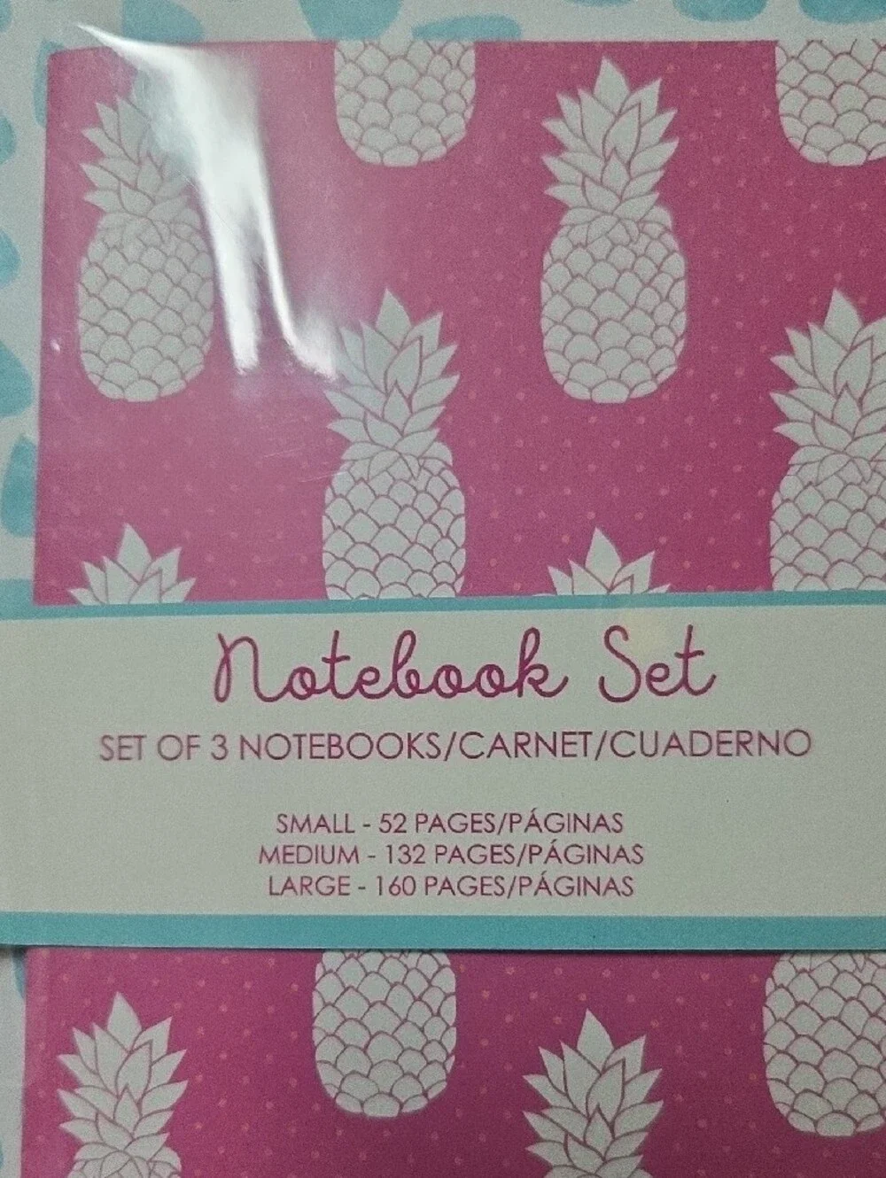 Arcadia Pink & Teal Pineapple 3-Piece Notebook Set